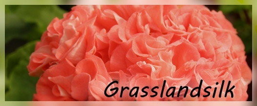 GrassLand Silk